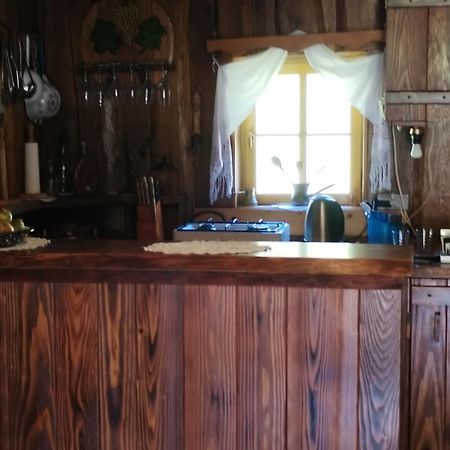 Vacation House Spiritus Flumine Netretic Екстериор снимка